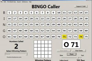 bingo caller software programs